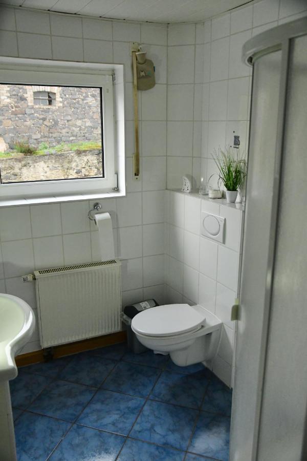 Ferienwohnung Auf Dem Pferdehof Schotten Dış mekan fotoğraf